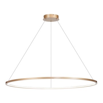 LED luster na užetu SATURNO LED/65W/230V promjer 120 cm IP44 zlatna