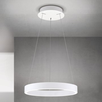 LED luster s mogućnošću prigušivanja na sajli KOLK LED/40W/230V 2700/3000/4000K Ø 40 cm bijela