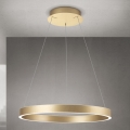 LED luster s mogućnošću prigušivanja na sajli KOLK LED/60W/230V 2700/3000/4000K promjer 60 cm zlatni