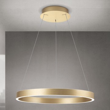 LED luster s mogućnošću prigušivanja na sajli KOLK LED/60W/230V 2700/3000/4000K promjer 60 cm zlatni