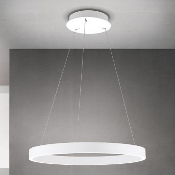 LED luster s mogućnošću prigušivanja na sajli KOLK LED/60W/230V 2700/3000/4000K Ø 60 cm bijela