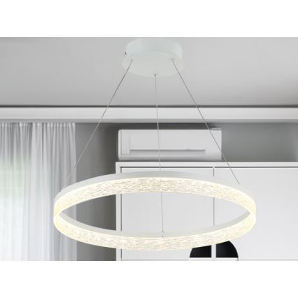 LED luster s mogućnošću prigušivanja na užetu ALIANZ LED/60W/230V 3000-6000K Ø 80 cm + daljinski upravljač