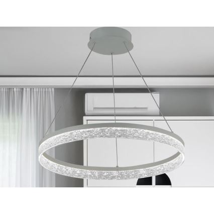 LED luster s mogućnošću prigušivanja na užetu ALIANZ LED/60W/230V 3000-6000K Ø 80 cm + daljinski upravljač