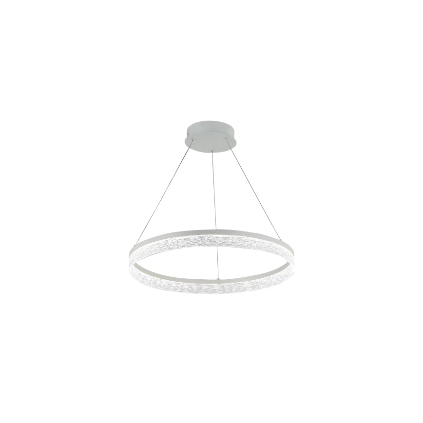 LED luster s mogućnošću prigušivanja na užetu ALIANZ LED/60W/230V 3000-6000K Ø 80 cm + daljinski upravljač
