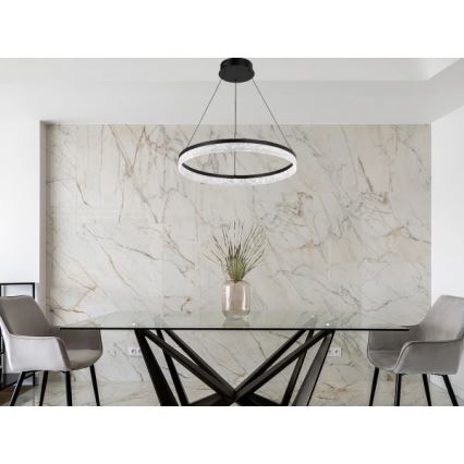 LED prigušivi luster na sajli ALIANZ LED/60W/230V 3000-6000K promjer 80 cm + daljinski upravljač