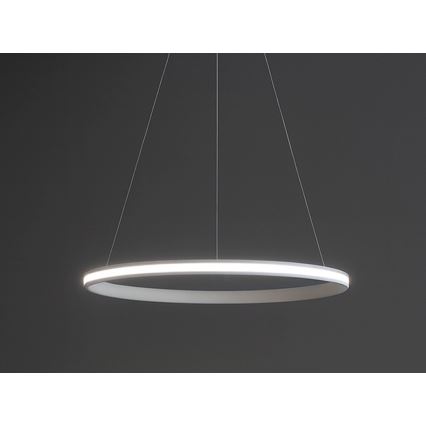 LED prigušivi luster na sajli LED/55W/230V 3000-6500K Ø 60 cm + daljinski upravljač