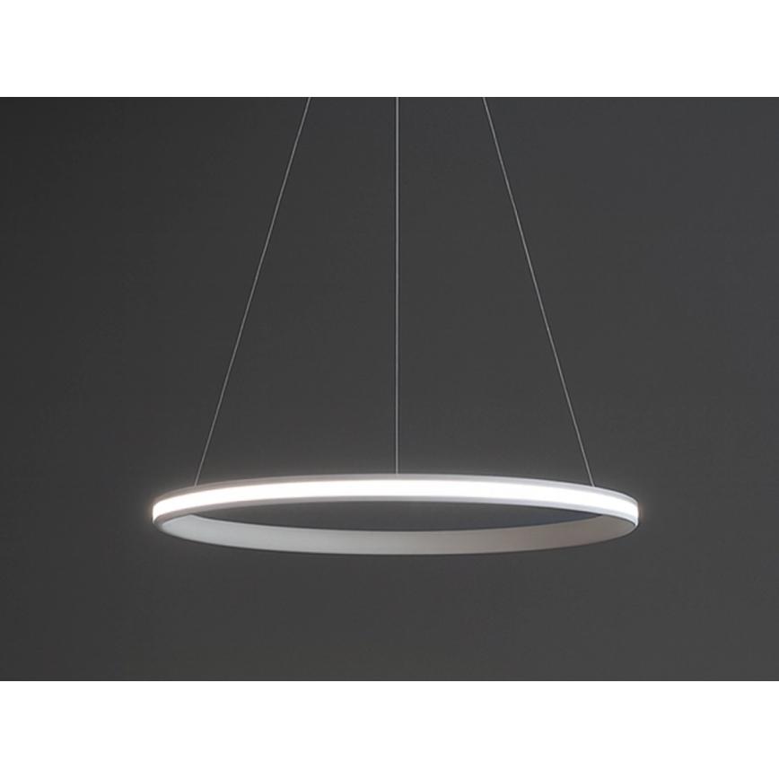 LED prigušivi luster na sajli LED/55W/230V 3000-6500K Ø 60 cm + daljinski upravljač