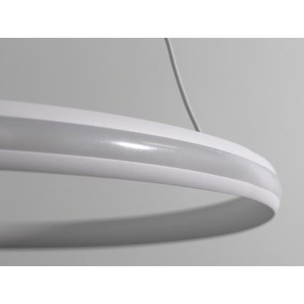 LED prigušivi luster na sajli LED/55W/230V 3000-6500K Ø 60 cm + daljinski upravljač