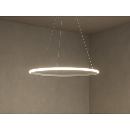 LED prigušivi luster na sajli LED/32W/230V 3000-6500K promjer 60 cm + daljinsko upravljanje