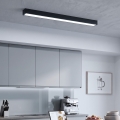 LED Nadgradna/luster na sajli LED/44W/230V 6000K 120 cm crna