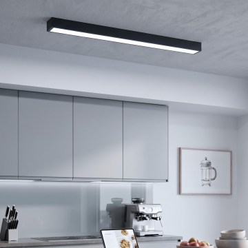 LED Nadgradna/luster na sajli LED/44W/230V 6000K 120 cm crna