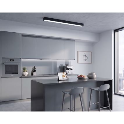LED Nadgradna/luster na sajli LED/44W/230V 6000K 120 cm crna