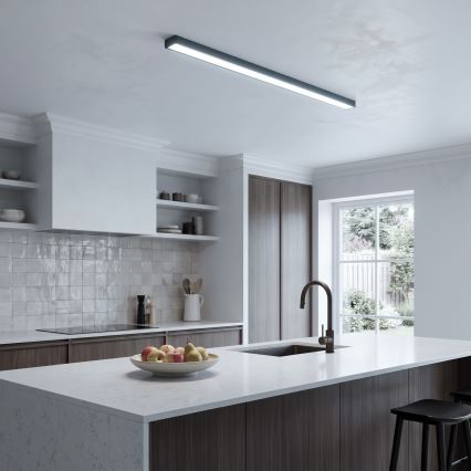 LED Nadgradna/luster na sajli LED/44W/230V 6000K 120 cm crna