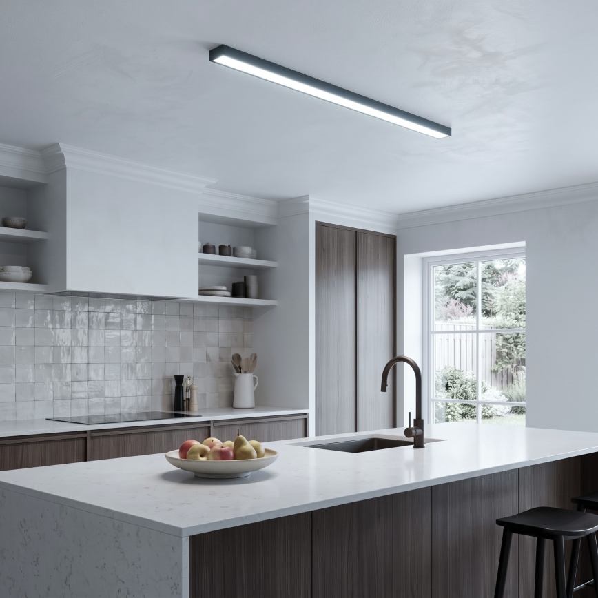 LED Nadgradna/luster na sajli LED/44W/230V 6000K 120 cm crna
