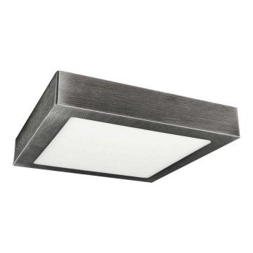 LED Nadgradna stropna svjetiljka FENIX LED/18W/230V 2800K 22,5 cm