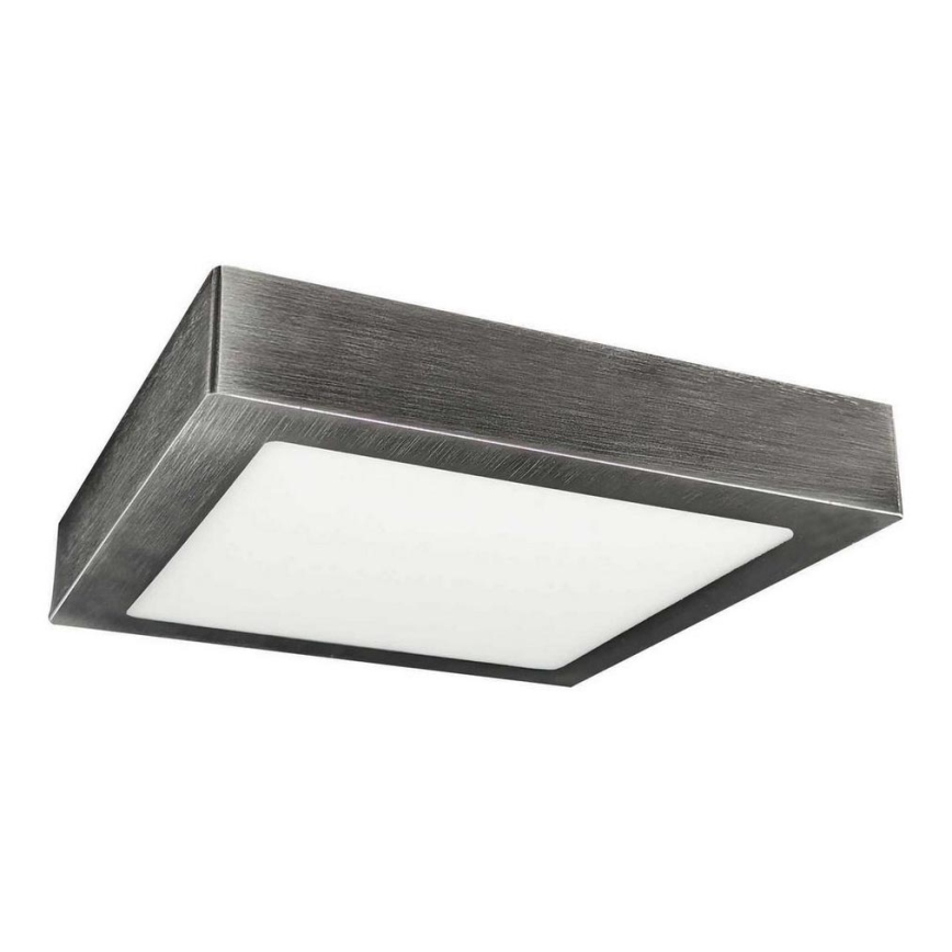 LED Nadgradna stropna svjetiljka FENIX LED/18W/230V 2800K 22,5 cm