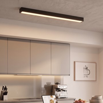 LED nadgradna svjetiljka/luster na sajli LED/44W/230V 3000K 120 cm crna