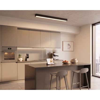 LED nadgradna svjetiljka/luster na sajli LED/44W/230V 3000K 120 cm crna