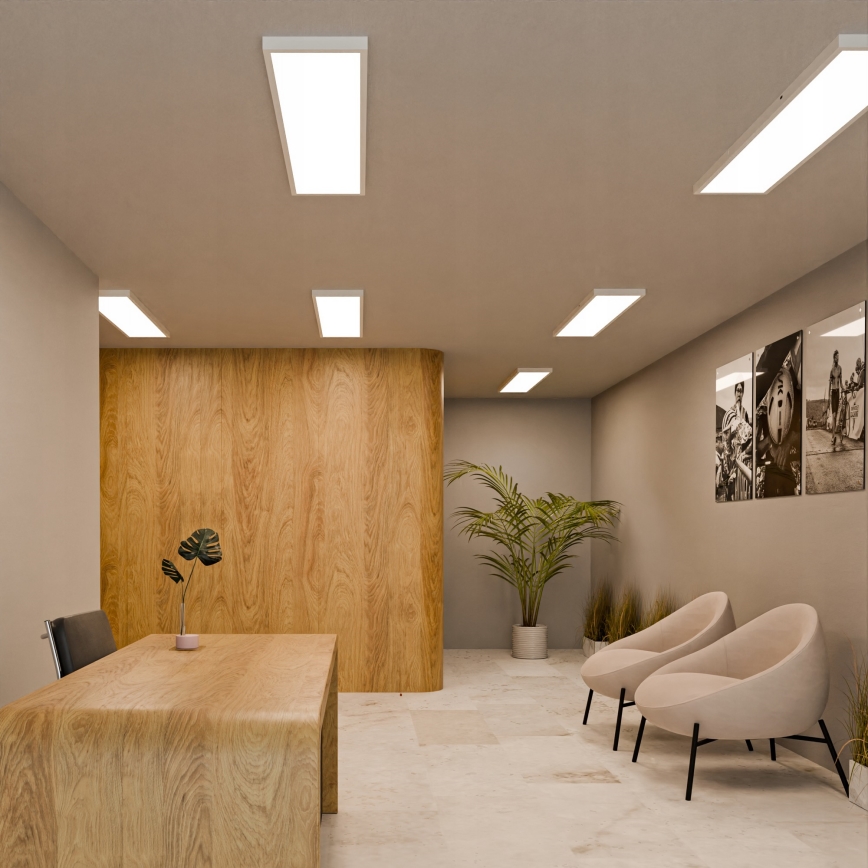 LED nadgradni panel LED/60W/230V 30x120 cm bijela