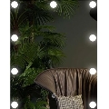 LED Ogledalo s osvjetljenjem 9xLED/1W/230V 3000/4000/6000K 50x40 cm IP44