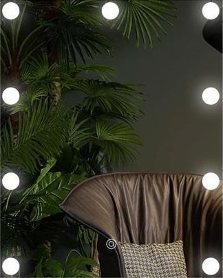 LED Ogledalo s osvjetljenjem 9xLED/1W/230V 3000/4000/6000K 50x40 cm IP44