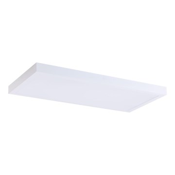 LED Panel LED/36W/230V 4000K 30x60 cm bijela