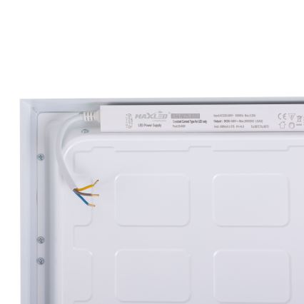 LED Panel LED/36W/230V 4000K 30x60 cm bijela