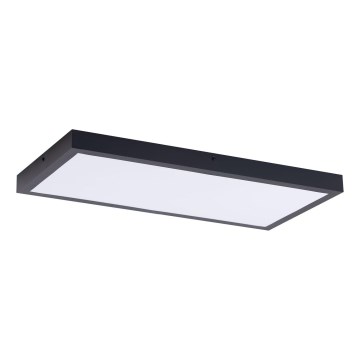 LED Panel LED/36W/230V 4000K 30x60 cm crna