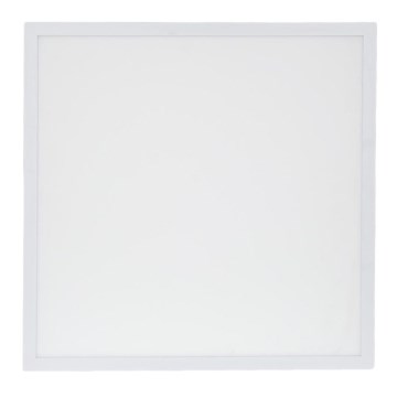 LED Panel LED/48W/230V 4000K 60x60 cm