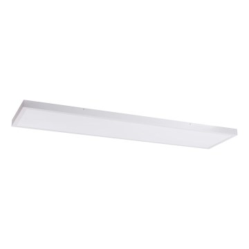 LED Panel LED/60W/230V 4000K 30x120 cm bijela