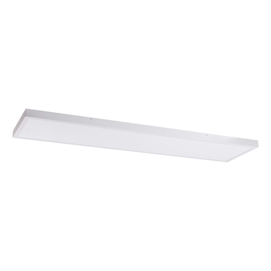 LED Panel LED/60W/230V 4000K 30x120 cm bijela