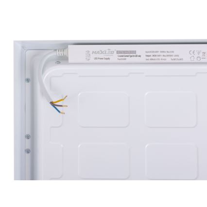 LED Panel LED/60W/230V 4000K 30x120 cm bijela