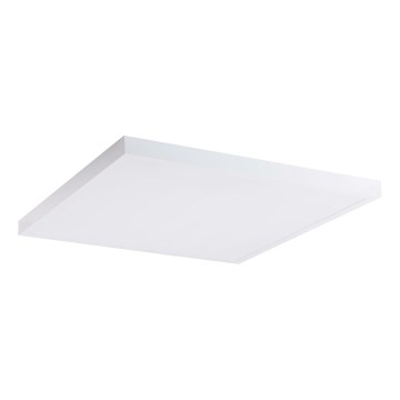LED Panel LED/60W/230V 4000K 60x60 cm bijela