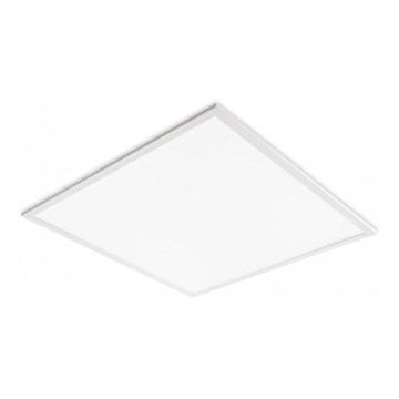 LED panel za spušteni strop DAVRO LED/40W/230V 4000K 62x62 cm bijela