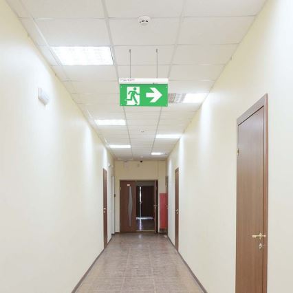 LED Panik svjetiljka EMERGENCY EXIT LED/2,5W/230V 4u1 6000K