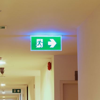 LED Panik svjetiljka EMERGENCY EXIT SAMSUNG CHIP LED/2W/230V 6000K