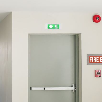 LED Panik svjetiljka EMERGENCY EXIT SAMSUNG CHIP LED/3,8W/230V 6000K