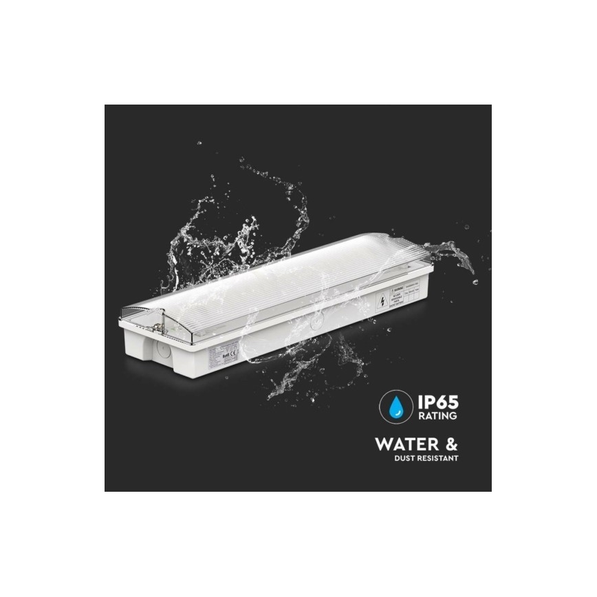 LED Panik svjetiljka EMERGENCY EXIT LED/3W/230V 6400K IP65