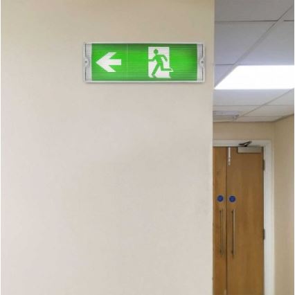 LED Panik svjetiljka s redovitim testom funkcionalnosti EMERGENCY EXIT LED/3W/230V 6400K IP65