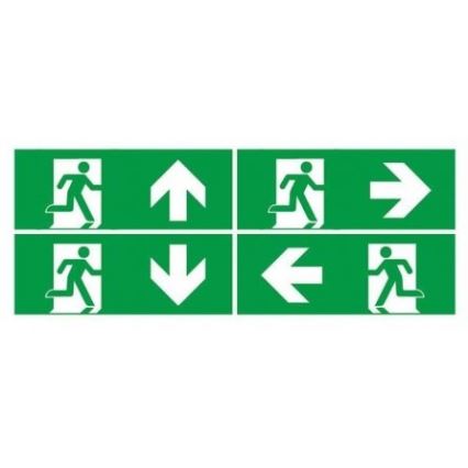 LED Panik svjetiljka s redovitim testom funkcionalnosti EMERGENCY EXIT LED/3W/230V 6400K IP65