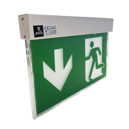 LED Panik svjetiljka LED/2W/230V 6000K 1500 mAh