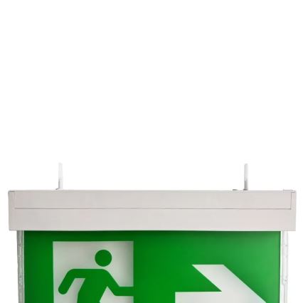 LED Panik svjetiljka LED/2W/230V 6000K 1500 mAh