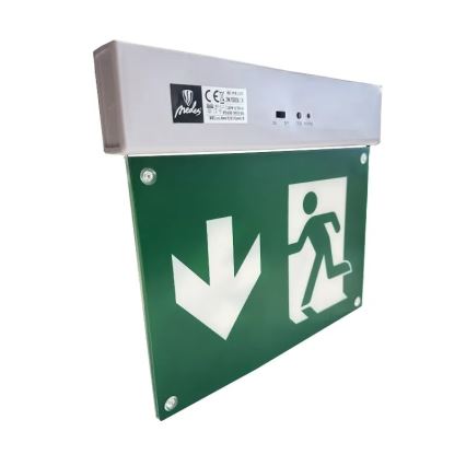 LED Panik svjetiljka LED/2W/230V 6000K 300 mAh