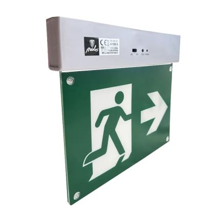 LED Panik svjetiljka LED/2W/230V 6000K 300 mAh