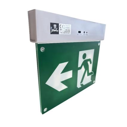 LED Panik svjetiljka LED/2W/230V 6000K 300 mAh