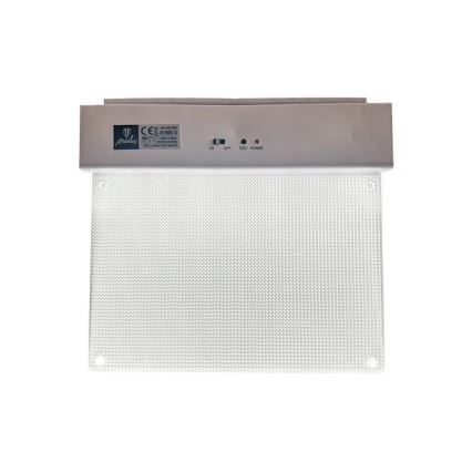 LED Panik svjetiljka LED/2W/230V 6000K 300 mAh