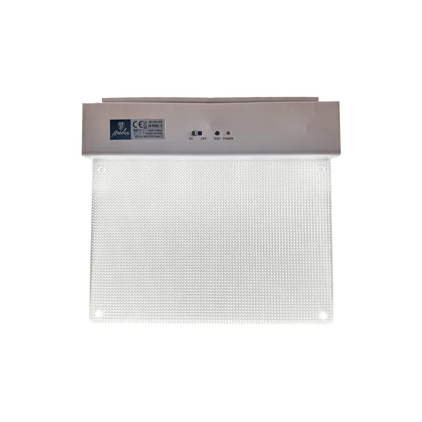LED Panik svjetiljka LED/2W/230V 6000K 300 mAh