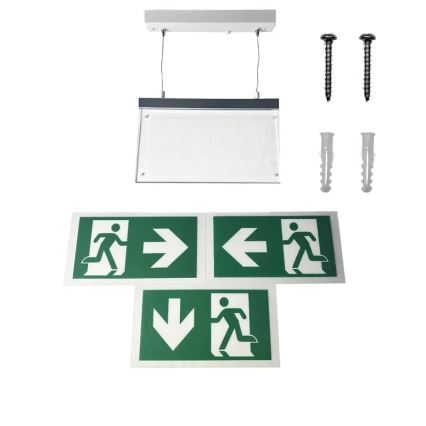 LED Panik svjetiljka LED/4W/230V 6000K 1000 mAh