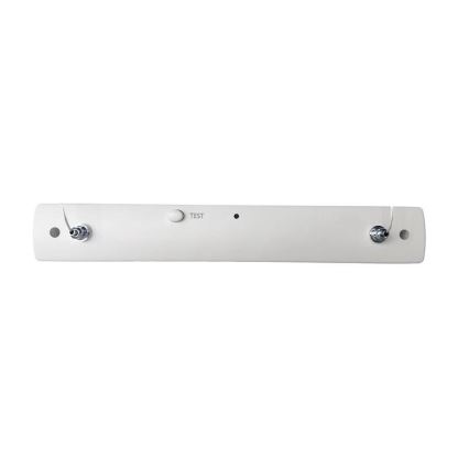 LED Panik svjetiljka LED/4W/230V 6000K 1000 mAh