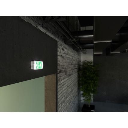 LED Panik svjetiljka VIRGO EVO LED/1W/230V 6000K IP65